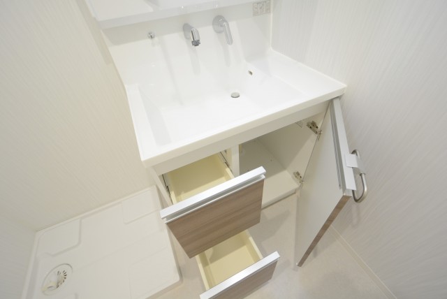 メゾンドール本郷 洗面