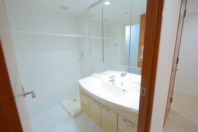 サンウッド新宿戸山フラッツ 洗面