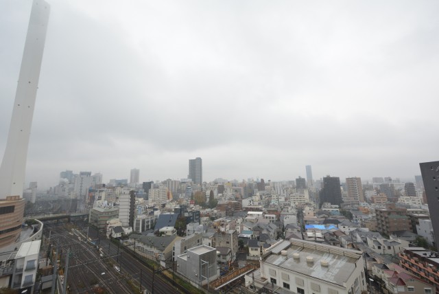 サンクレイドルレヴィール池袋 洋室3