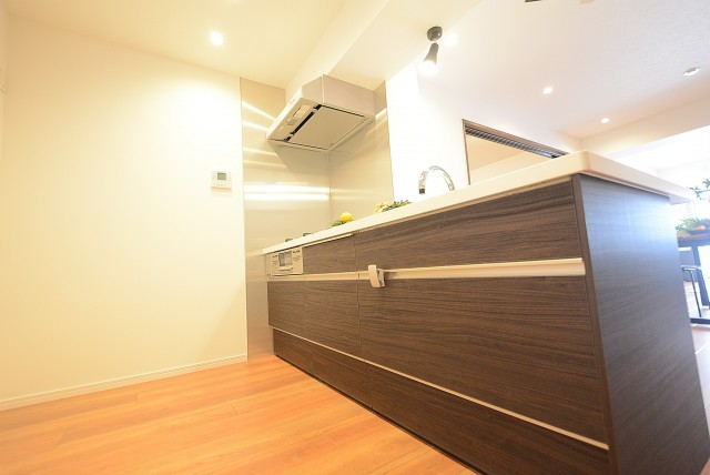 学芸大スカイハイツ