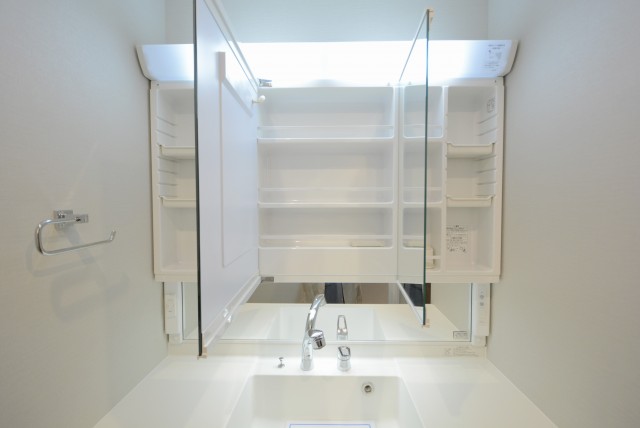 グリーンヒル小石川 洗面