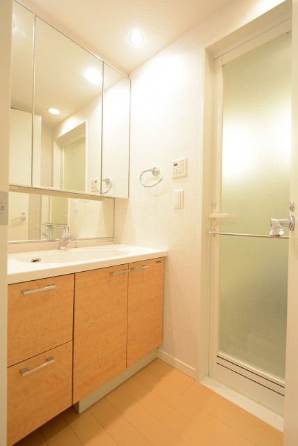 小石川ザ・レジデンス 洗面