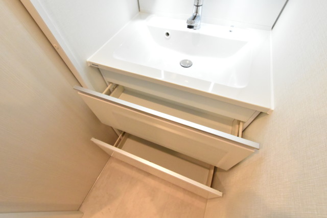 目白ガーデニア 洗面室