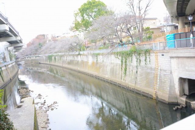 江戸川橋駅周辺