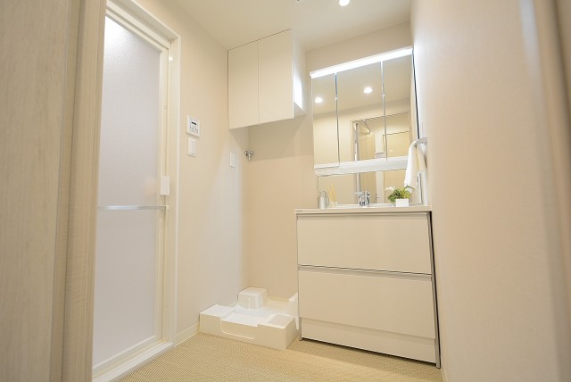 学芸大ハイツ 洗面