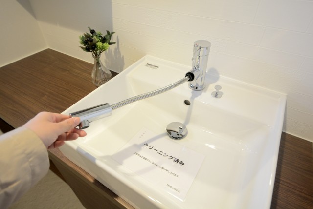 本郷サンハイツ9 洗面