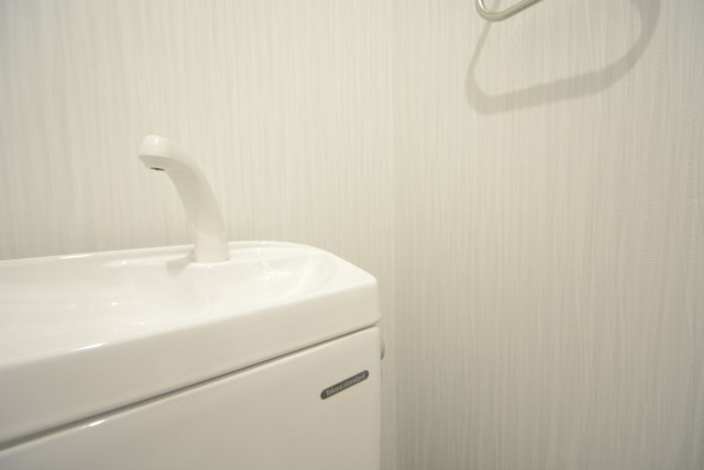 メゾンドール本郷 トイレ