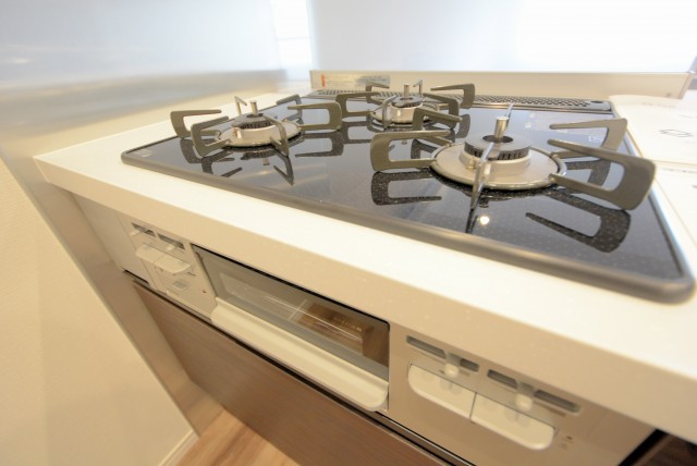 グリーンヒル小石川 キッチン