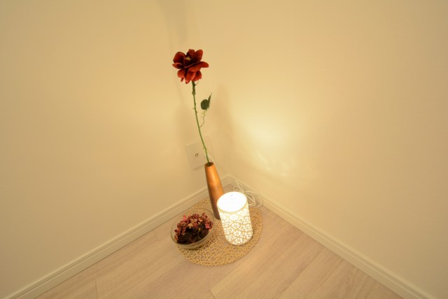 パティオ西早稲田 洋室