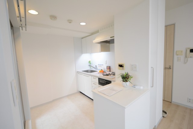 パークアクシス白金台南 キッチン