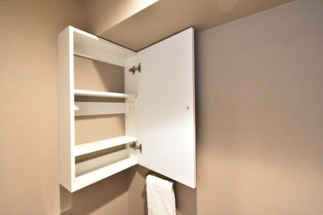 小日向サニーハイツ トイレ