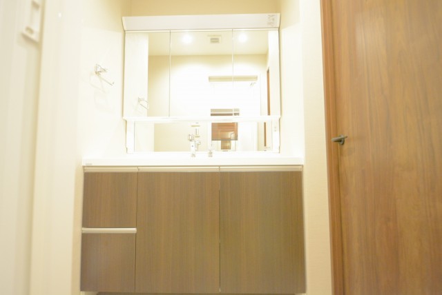 グリーンヒル小石川 洗面