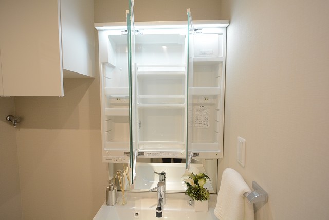 学芸大ハイツ 洗面