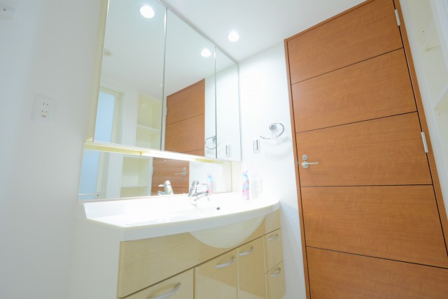 サンウッド新宿戸山フラッツ 洗面