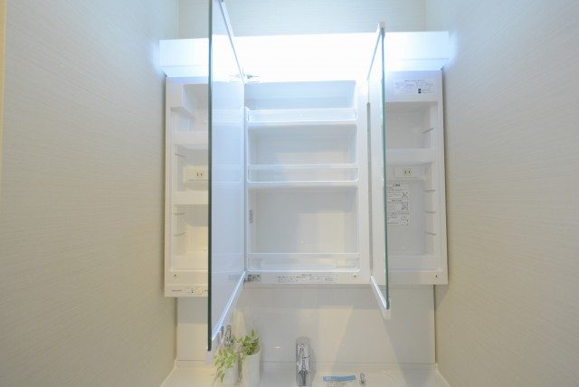 グランドメゾン新宿東 洗面