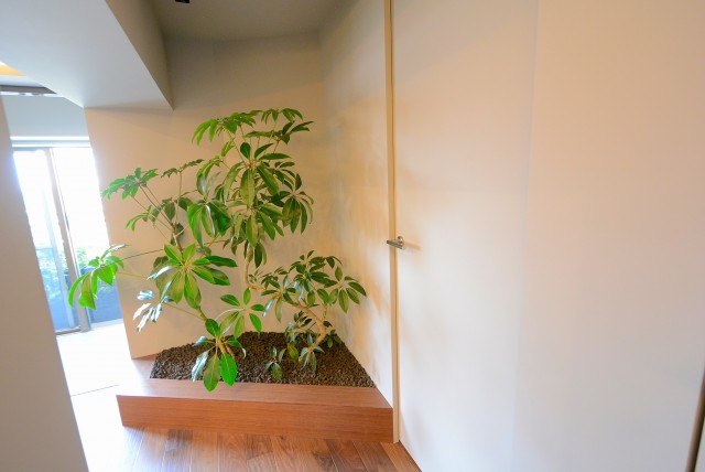 イトーピア渋谷桜ヶ丘 洋室２