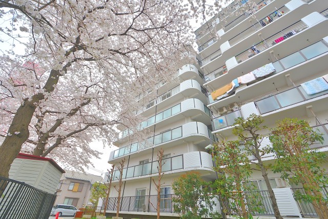 学芸大スカイハイツ (4)