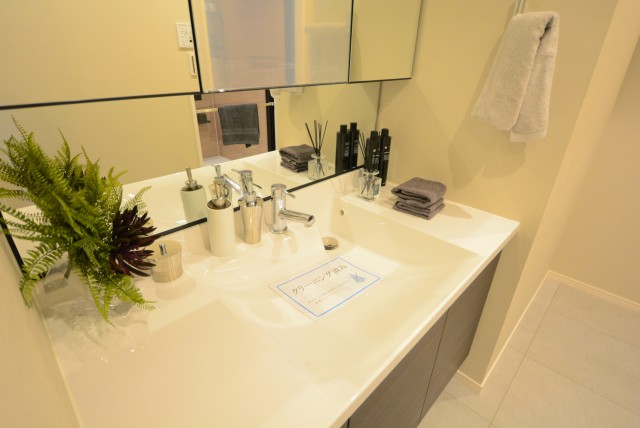 サンビューハイツ渋谷 洗面