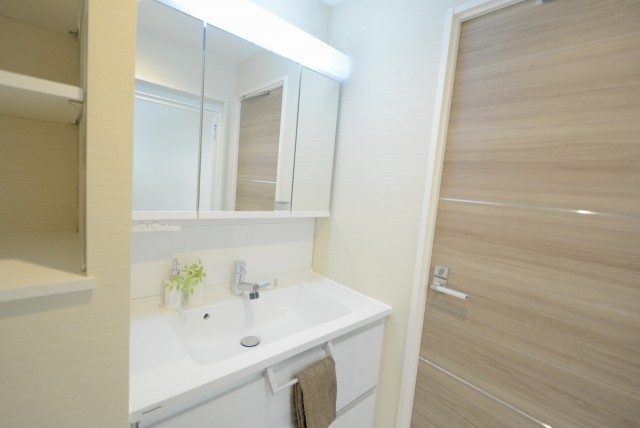 グランドメゾン新宿東 洗面