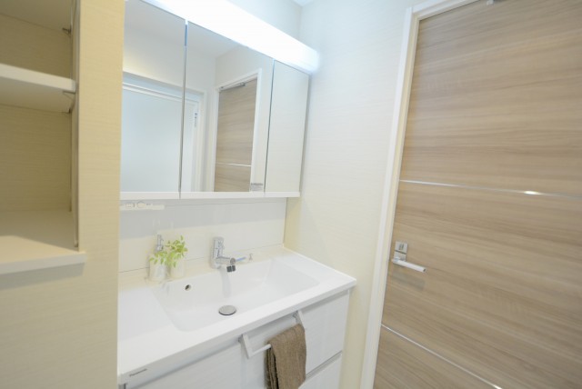 グランドメゾン新宿東 洗面