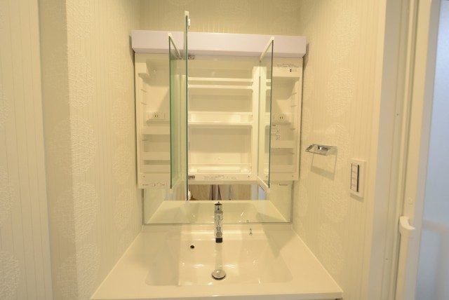 東急アルス本郷 洗面