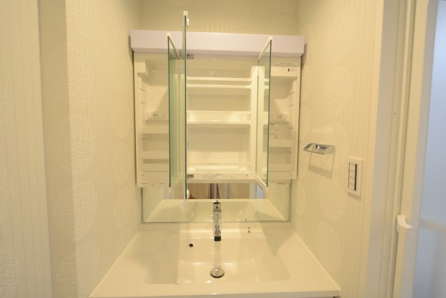 東急アルス本郷 洗面