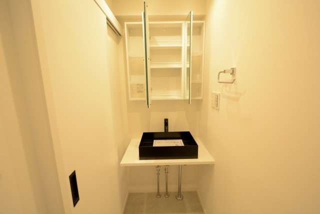 秀和高円寺レジデンス (39)洗面