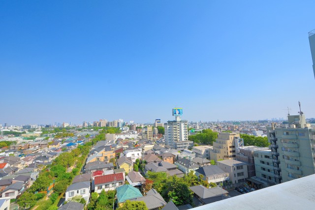 カーサ桜上水屋上