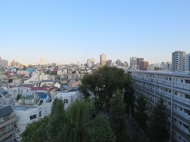 グリーンヒル新宿　洋室約4.8帖眺望