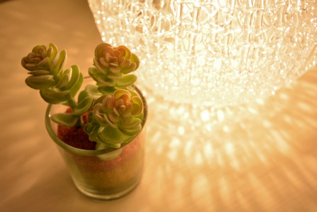 東品川ハウス LDK