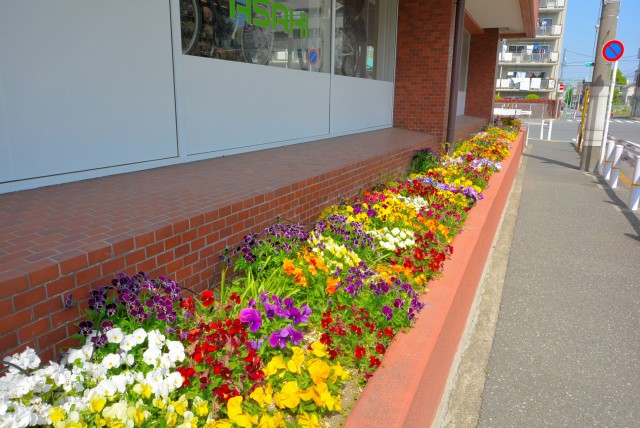 砧公園ヒミコマンション