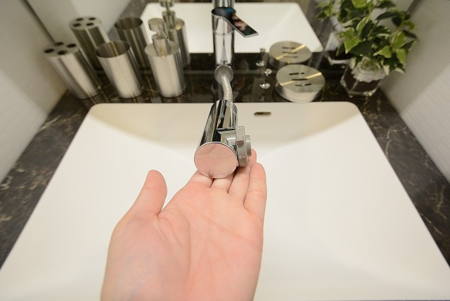 目白台コーポ　洗面