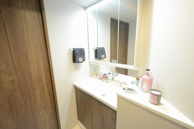 シャンボール尾山台 洗面