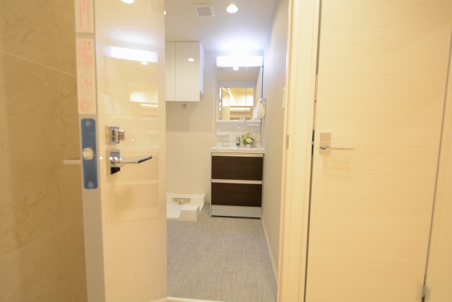 チュリス氷川坂 洗面