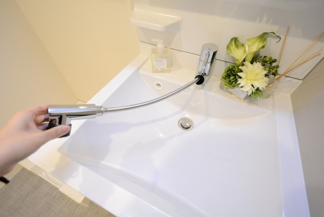 チュリス氷川坂 洗面