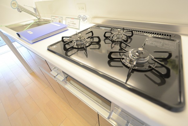 カーサ桜上水 (18)