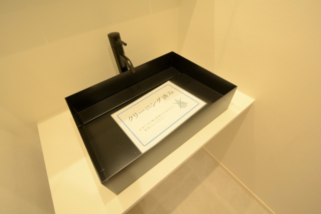 秀和高円寺レジデンス 洗面