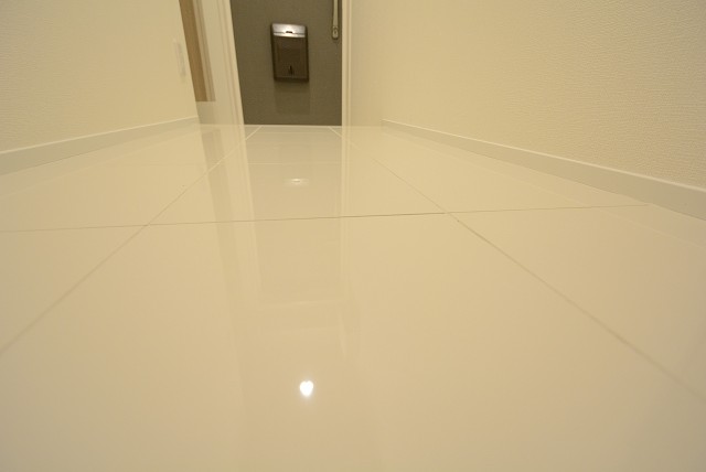 砧公園ヒミコマンション 玄関