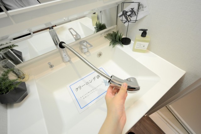 セブンスターマンション第２日本橋 洗面