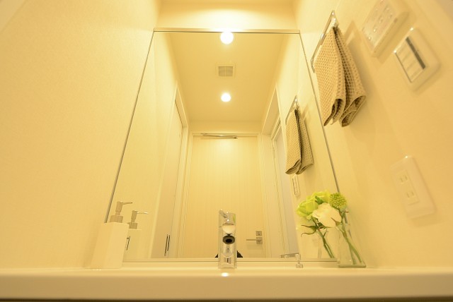 目白台コーポ 洗面