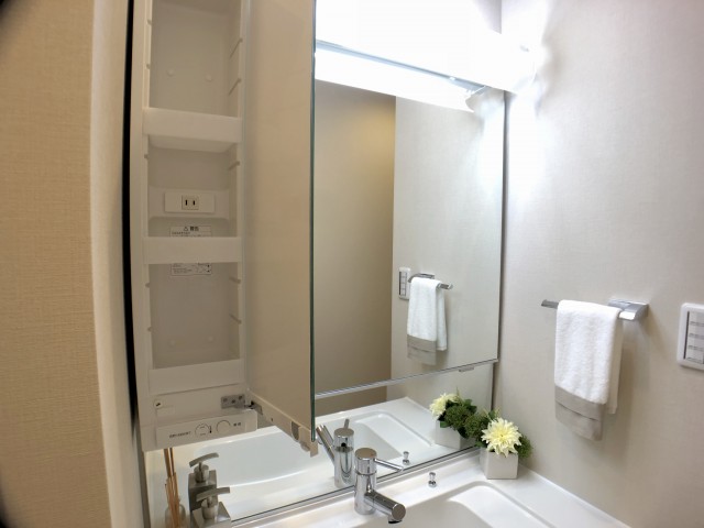 幡ヶ谷コーエイマンション 洗面