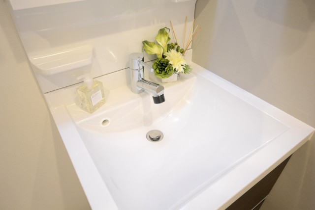 チュリス氷川坂 洗面