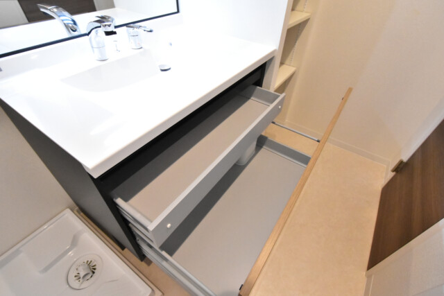 チュリス氷川坂 洗面室