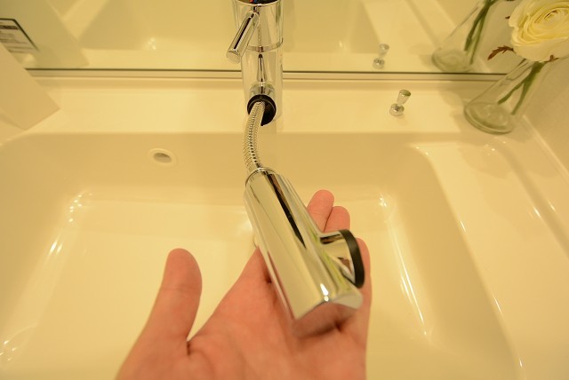 目白台コーポ 洗面