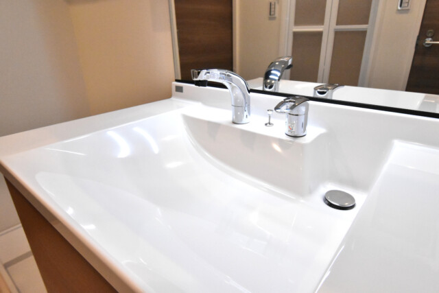 チュリス氷川坂 洗面室