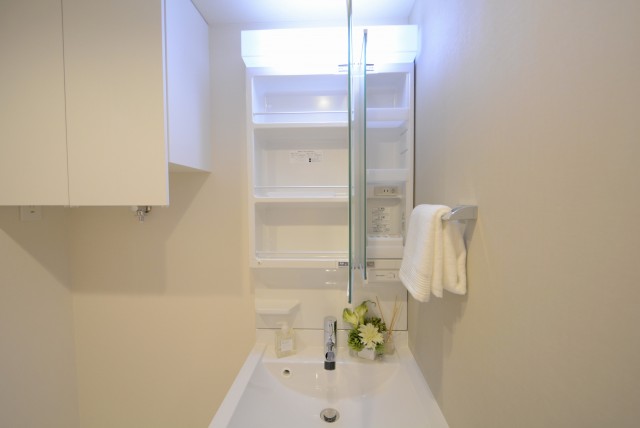 チュリス氷川坂 洗面