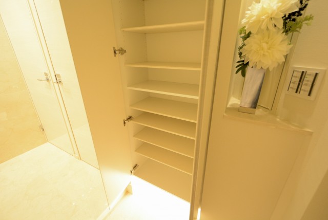 チュリス氷川坂 玄関