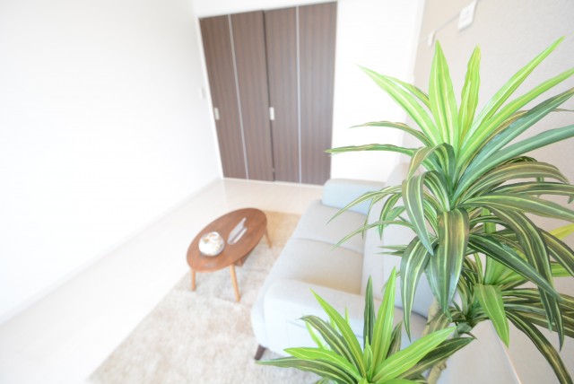 パールハイツ桜上水 洋室5.8