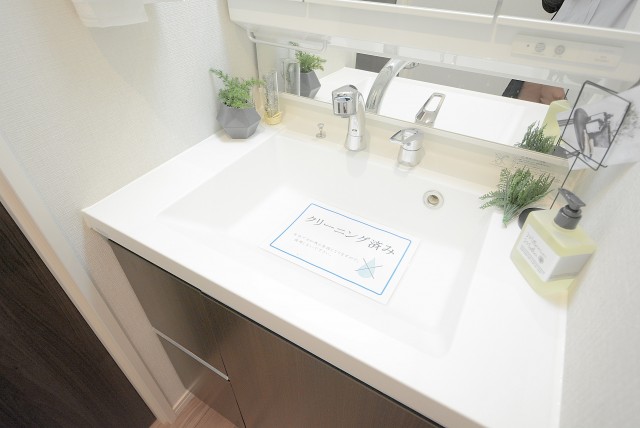 セブンスターマンション第２日本橋 洗面