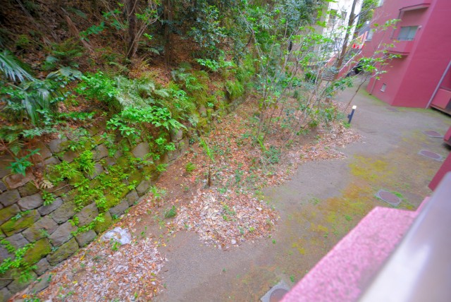 チュリス氷川坂 バルコニー